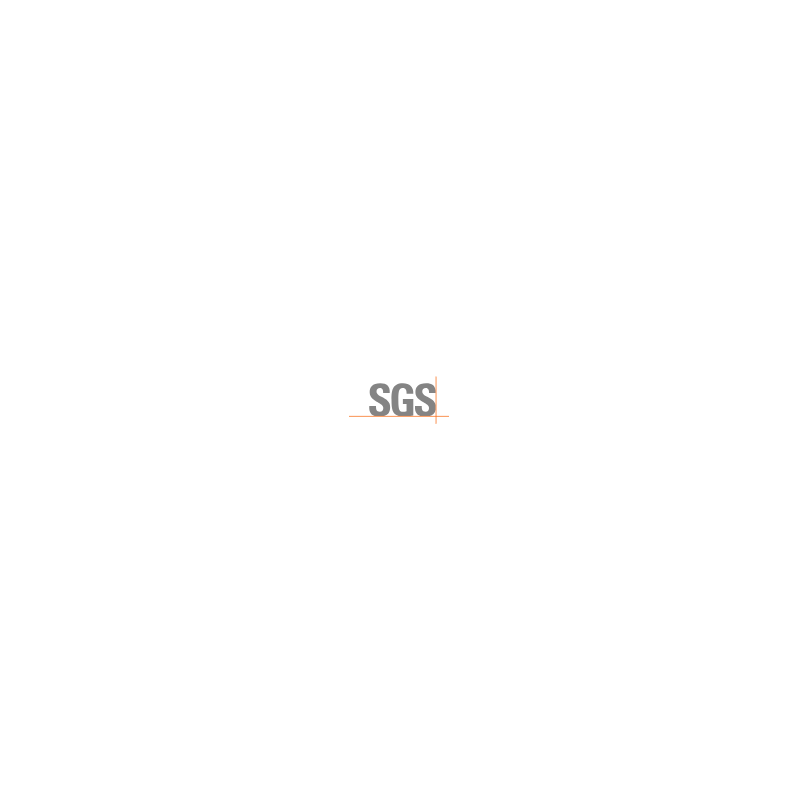 SGS VIETNAM LIMITED